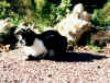 missie0004.jpg (49534 octets)