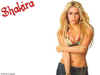 shakira5.jpg (42382 octets)