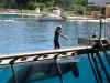var 2003 073.JPG (324402 octets)