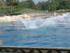 var 2003 074.JPG (322756 octets)